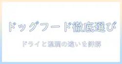 ドッグフードの選び方完全ガイド:ドライとウェットの違いと選び方のポイント
