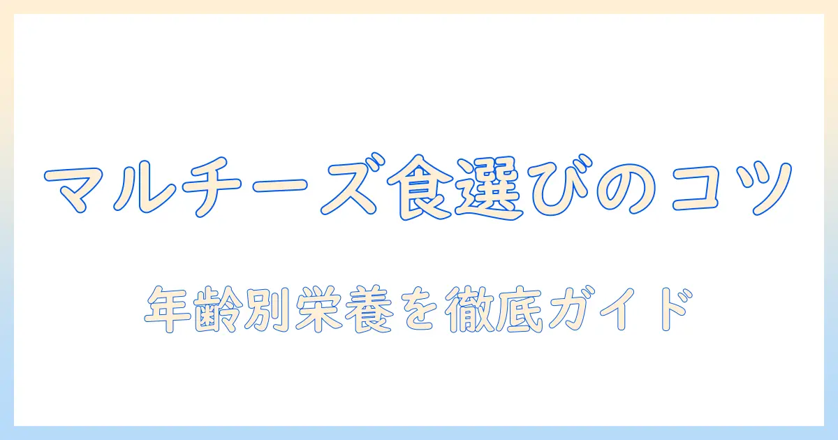 マルチーズのドッグフードを選ぶポイントとおすすめブランド｜年齢・体重別の栄養ガイド