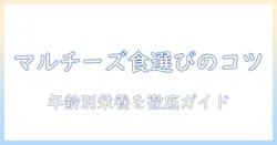 マルチーズのドッグフードを選ぶポイントとおすすめブランド|年齢・体重別の栄養ガイド