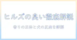 ヒルズのドッグフードの臭いは大丈夫？香りの成分と犬の反応を徹底解説