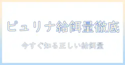 キャットフードの量を徹底解説!ピュリナ ワンの適切な給餌量と選び方