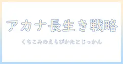 アカナのドッグフードはシニア犬に適している?口コミから分かる選び方と実感
