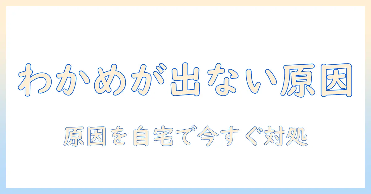 洗濯機でわかめが出ない時の原因と対処法：自宅でできるチェックリスト