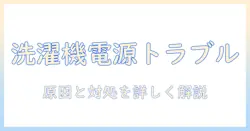パナソニック 洗濯機 電源入らない 修理ガイド: 原因と対処法を詳しく解説