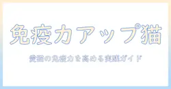 キャットフードと免疫サポートを徹底解説：愛猫の免疫力を高めるキャットフードの選び方と成分ポイント