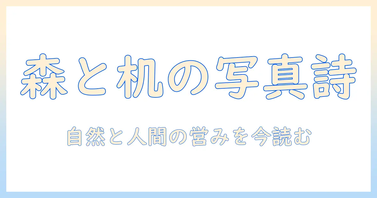森 写真 机 店 文化 币を切り口に読む、自然と人間の営みを描く写真表現の現在