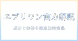 エブリワン ズ ドッグフードの実力を徹底解説—成分・価格・選び方と口コミを総まとめ