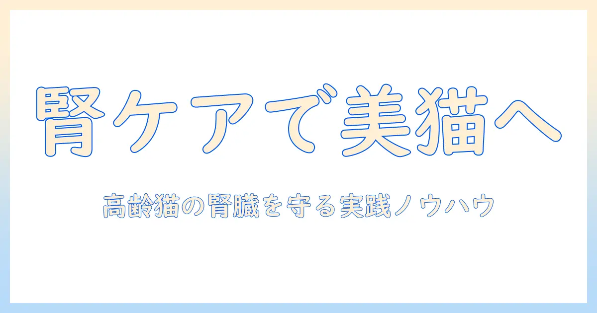 ビューティーを保つプロの視点：キャットフードで腎臓の健康を維持する方法（15歳以上の高齢猫向け）