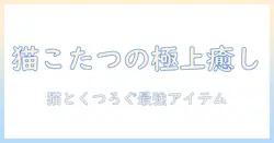 猫用こたつのおすすめガイド:猫と一緒にくつろげる猫用こたつ選びのポイントとアイテム