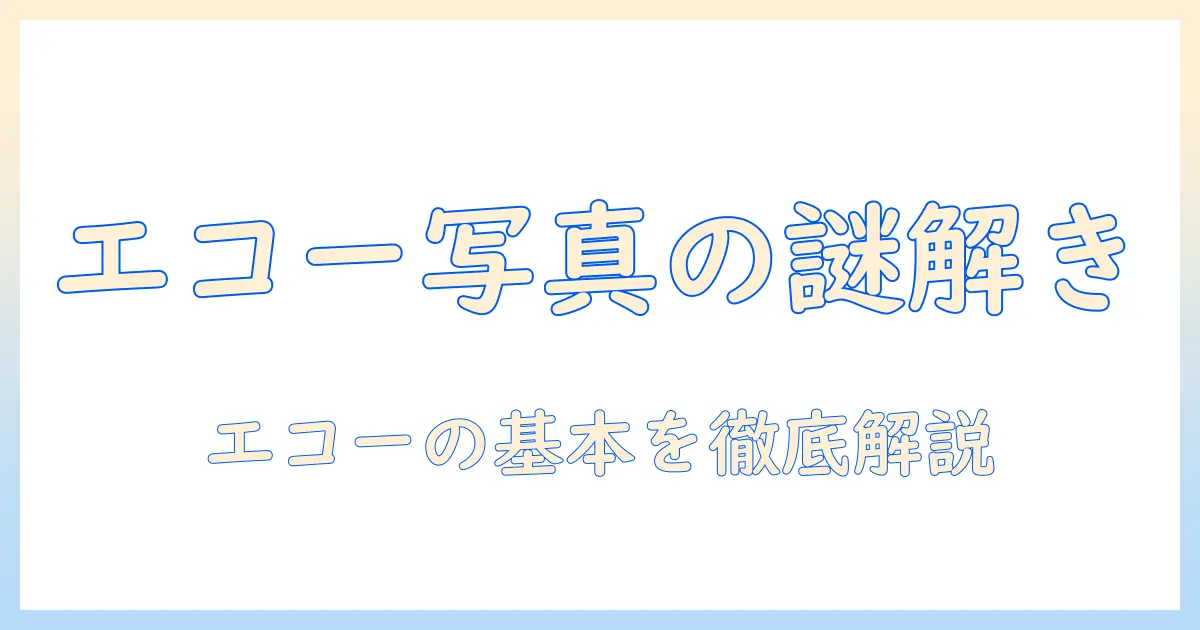 エコー 写真 原理を解説：超音波画像が生まれる仕組みと基本用語