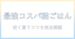 キャットフードのおすすめを市販で安いものから選ぶコツ