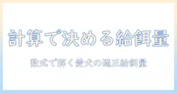 ドッグフードの計算式でわかる、愛犬に適した給餌量の算出方法
