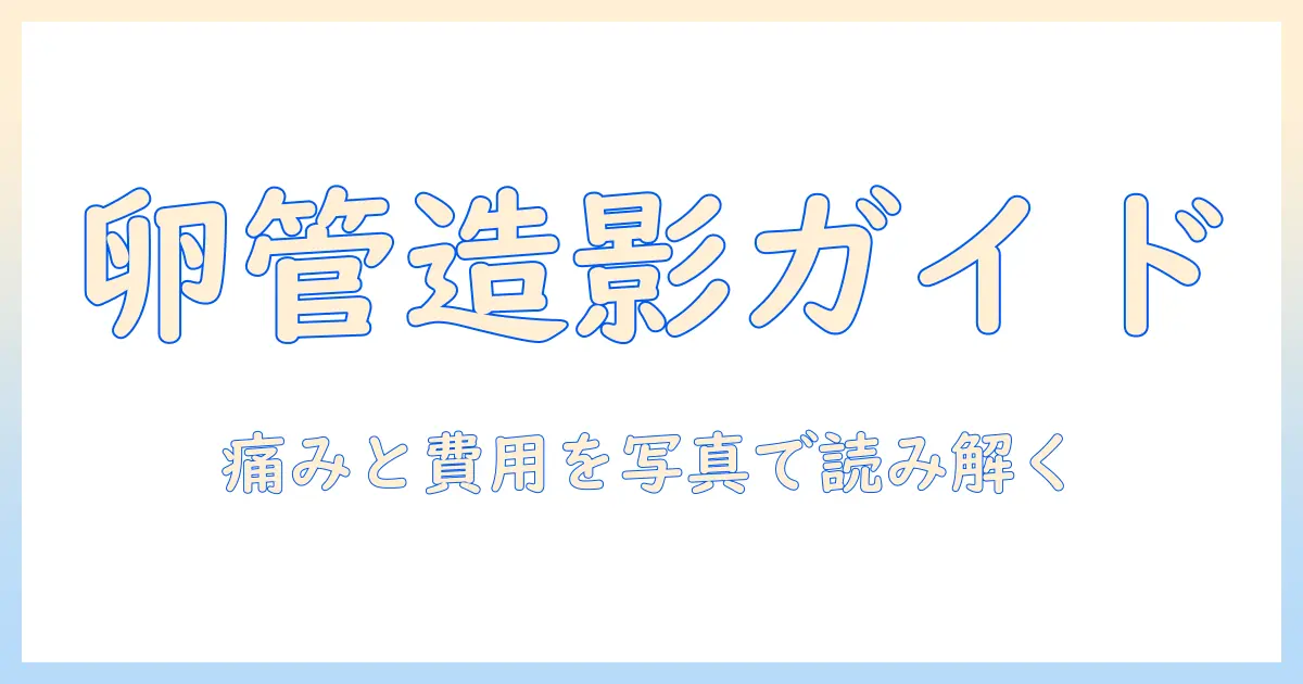 卵 管 造影 検査 レントゲン 写真の基礎と見方：手順・痛み・リスク・費用を解説