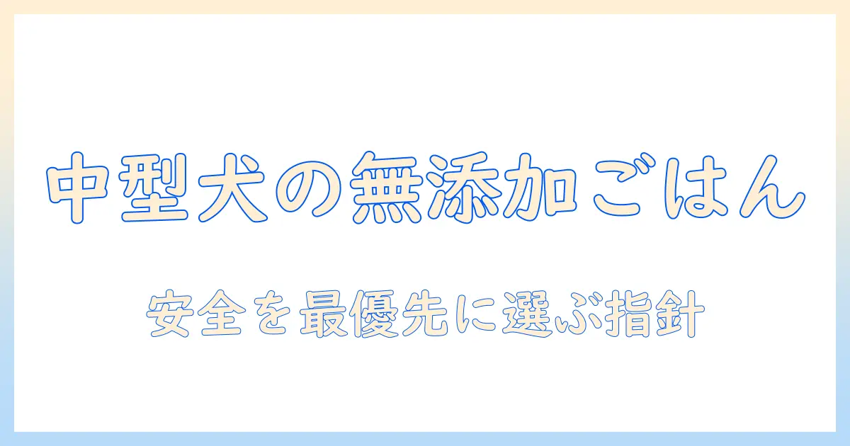 中型犬向けの無添加ドッグフードを選ぶときのポイントと安全性ガイド