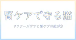 キャットフード選びのコツ：ドクターズケアとキドニーケアで猫の健康を守る方法