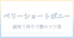 ベリーショートのウィッグで叶えるポニーテールの魅力と選び方