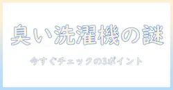 アパートの洗濯機が急に下水臭い匂いを放つときの原因と対処法