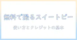 スイートピーの写真を無料・フリーで入手する方法と使い方ガイド