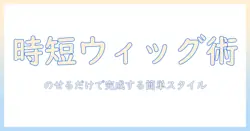 初心者向け：ウィッグとメッシュを使ったのせるだけ着用で完成させる簡単スタイル