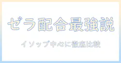 ゼラニウム配合の人気ハンドクリームを徹底比較｜イソップ製品を中心に選び方とおすすめ