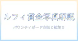 ルフィ 賞金首 写真を徹底解説：ワンピースのバウンティボードと写真表現の謎