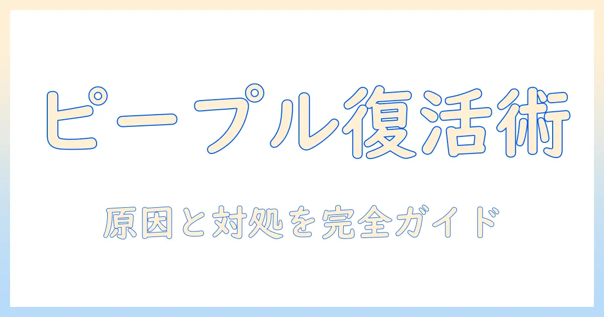 iphone 写真 ピープル 表示されない原因と対処法｜People表示トラブルを解決する手順