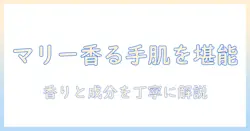 ディズニーストアのマリー・ハンドクリームを徹底解説！香り・成分・購入ガイド