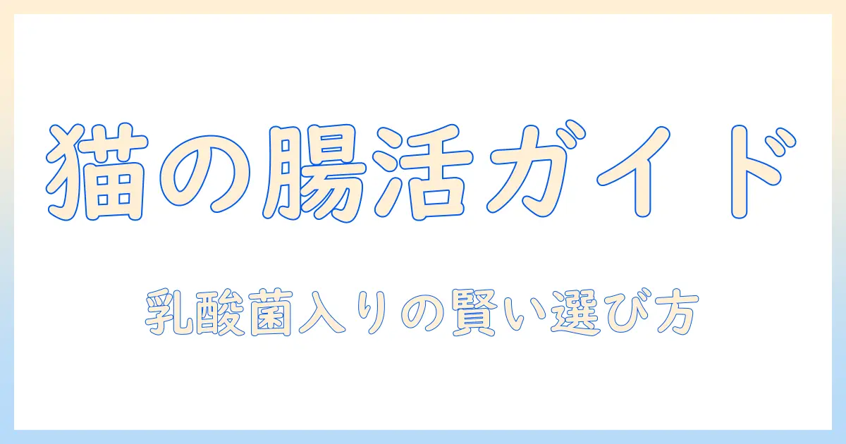 キャットフードと乳酸菌の効果を徹底解説：猫の腸内環境を整える選び方とポイント