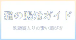 キャットフードと乳酸菌の効果を徹底解説：猫の腸内環境を整える選び方とポイント