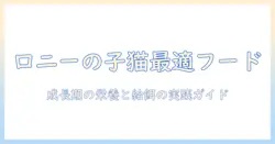 ロニーの子猫に最適なキャットフードの選び方とポイント