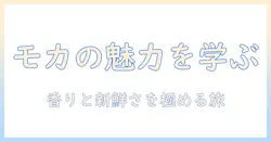 mowで学ぶエチオピアのモカ コーヒーの魅力と淹れ方、いつまで新鮮に楽しめるのか
