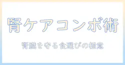 キャットフードと腎臓ケアを考える：コンボの選択肢を詳しく解説