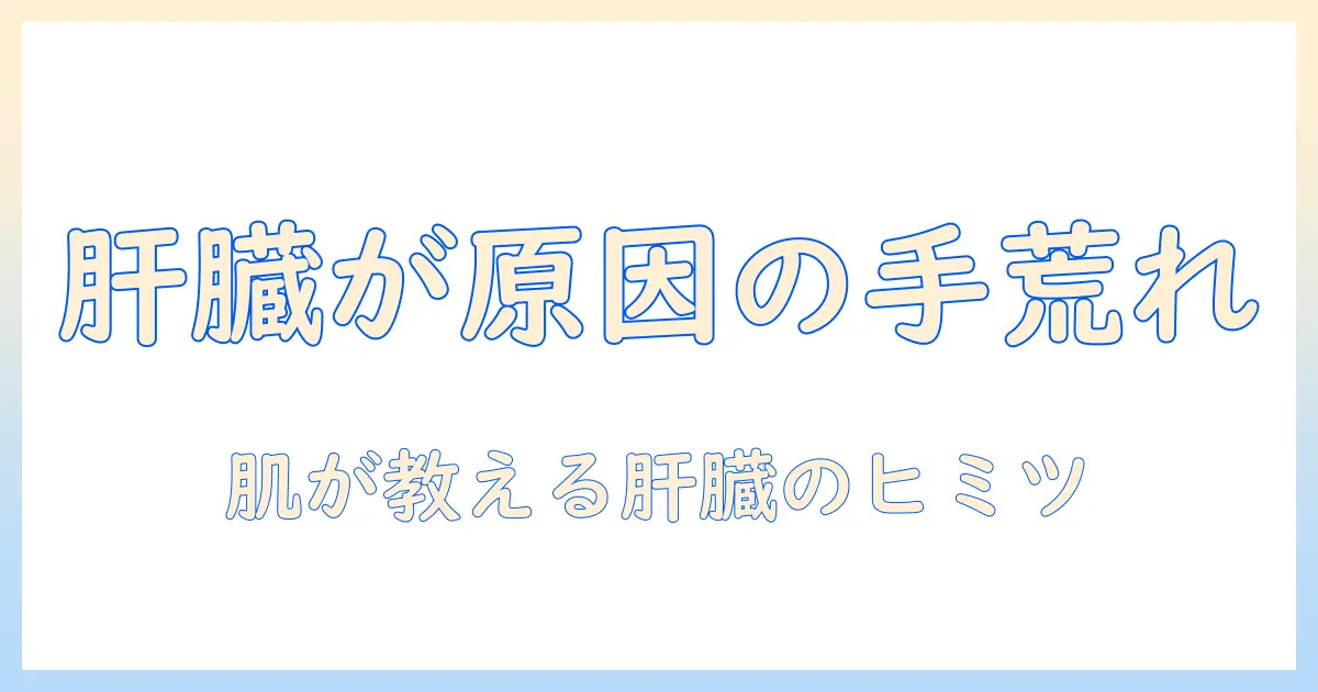 手荒れの原因は肝臓？手荒れと肝臓の関係を徹底解説