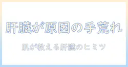 手荒れの原因は肝臓？手荒れと肝臓の関係を徹底解説