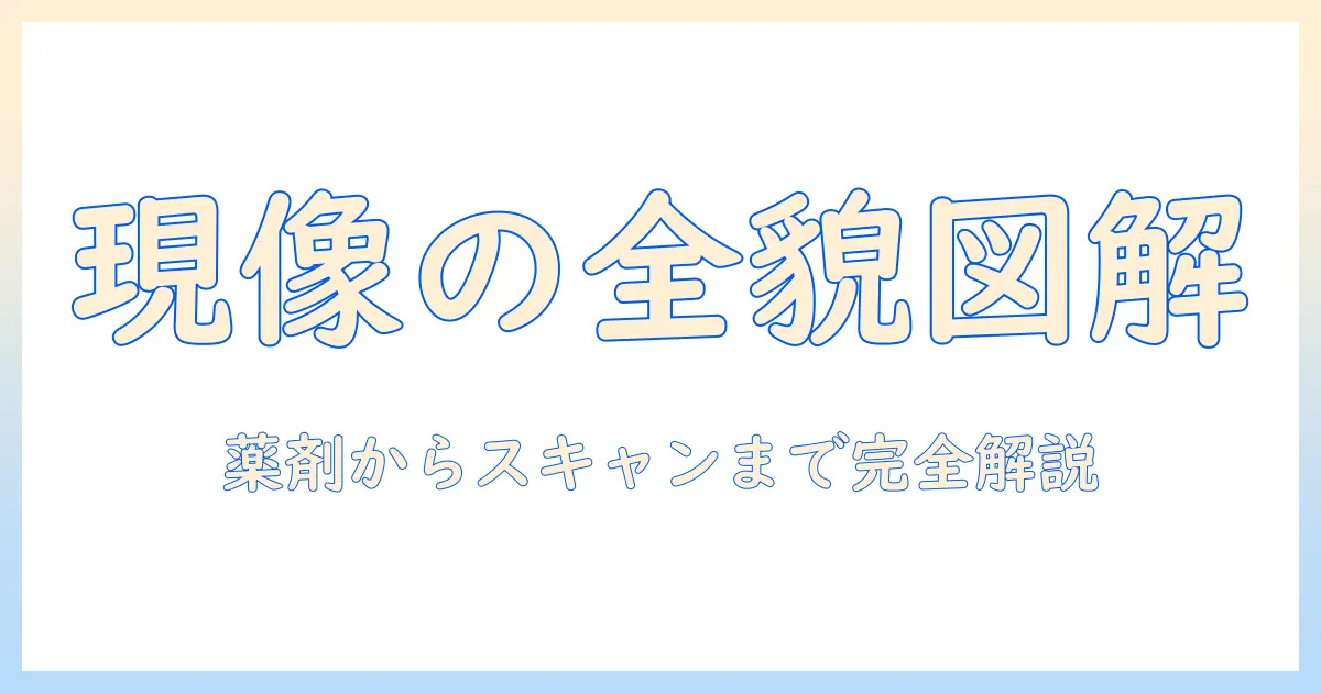 写真 現像 フィルム 仕組みを理解する完全ガイド：現像の基本から実践まで