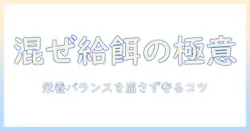 キャットフードを混ぜて与える方法とコツ:栄養バランスを崩さず愛猫の健康を守るポイント