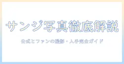 サンジ 賞金首 写真を徹底解説：公式ポスターとファンアートの撮影・入手ガイド