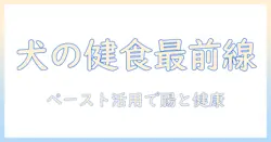 犬の健康を守るドッグフードとペースト活用術:選び方・与え方を徹底解説