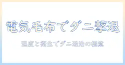 電気毛布でダニ退治を目指すときの頻度と安全な使い方
