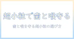 キャットフードの超小粒シニア向けガイド:高齢猫の歯と飲み込みを配慮した選び方とおすすめ商品