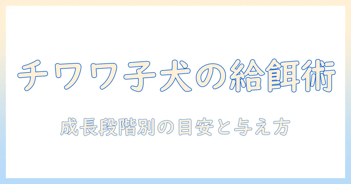 チワワの子犬に適したドッグフードの量とは?成長段階別の目安と与え方