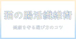 キャットフードと食物繊維が多い理由を解説|猫の健康を守るための選び方