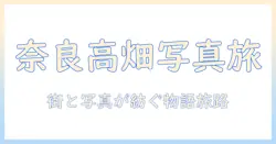 奈良・高畑で写真美術館を巡る旅: 街と写真が紡ぐ物語を探る
