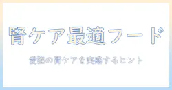 腎臓ケアのための市販キャットフード選びガイド:愛猫の腎臓ケアをサポートするポイント