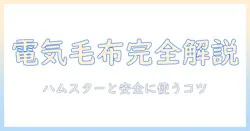 電気毛布のおすすめを徹底解説｜ハムスターと暮らす家庭に安全な使い方と選び方
