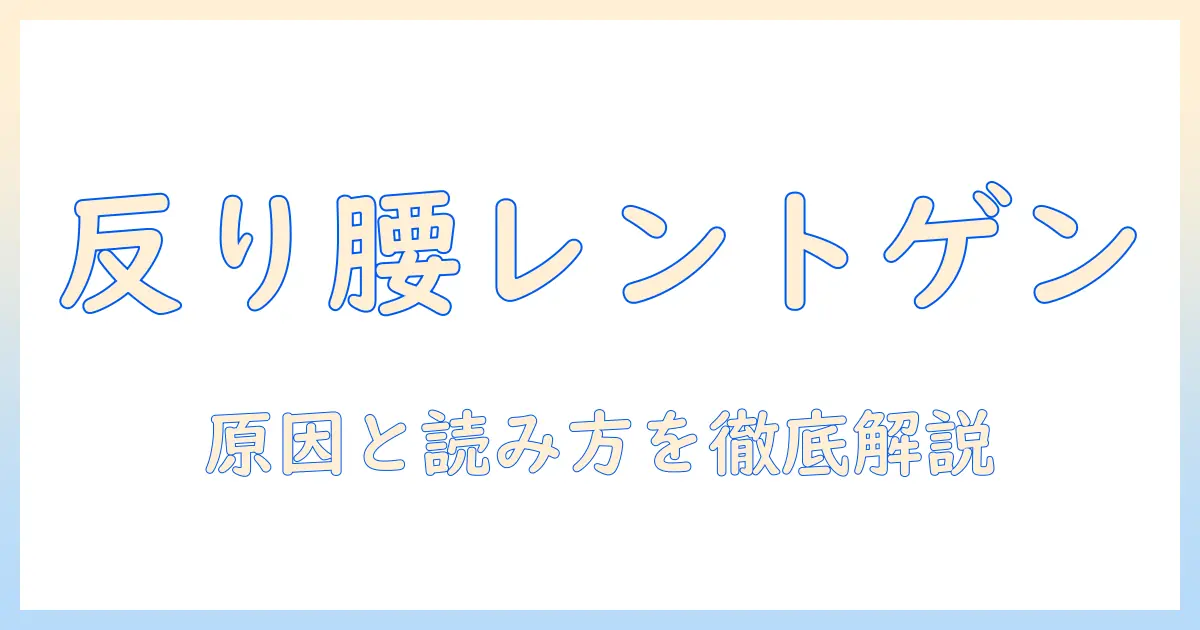 反り 腰 レントゲン 写真でわかる！反り腰の原因と画像の読み方