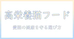 キャットフードの栄養価が高い理由と選び方|愛猫の健康を守るためのポイント