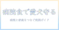 ドッグフードと病院での食の管理術:愛犬の健康を守るための実践ガイド