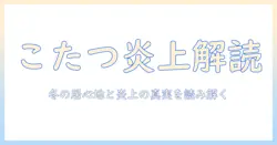 こたせなとこたつの炎上を読み解く:冬の居心地とSNS炎上の真実を解説