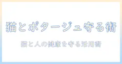 キャットフードとポタージュの徹底解説:猫の健康を守る選び方と人間用ポタージュの活用術